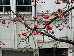 -烈士陵园(地铁站)