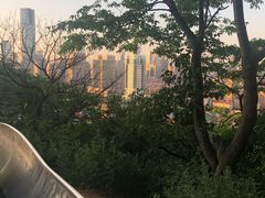-富斯特索道