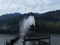 -江西阳明山国家森林公园