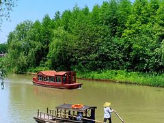 -溱湖国家湿地公园