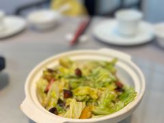 -陈麻婆豆腐(旗舰店)