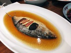 酒香鲥鱼-乔家栅(襄阳南路店)