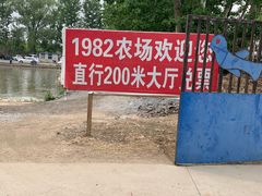 -1982农场