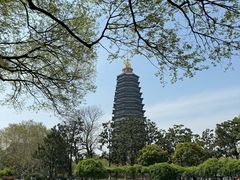 -红梅公园