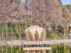 -广州市白云山风景名胜区