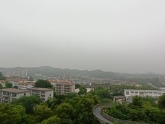 -福道