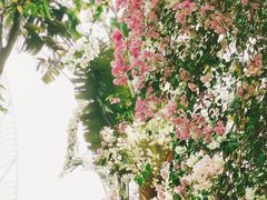 -深圳国际园林花卉博览园