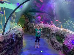 -沈阳海洋探索中心