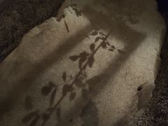 -勒马听风(洛邑古城店)