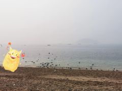 -傅家庄公园