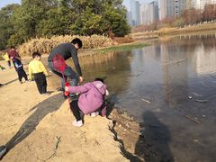 -艾溪湖湿地公园