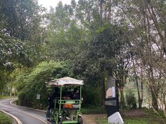 -桤木河湿地公园