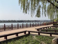 -绿堤公园
