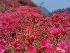 -木兰云雾山