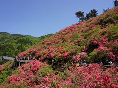 -木兰云雾山
