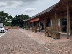 -大湾区中央湿地公园