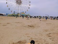-奉贤海滩