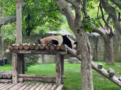 -上海野生动物园