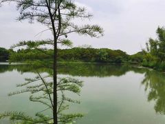 -昆山城市生态森林公园