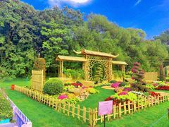 -上海共青森林公园