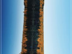 -五营红松林海景区