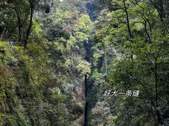-青城山