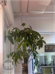 -LJOY丽锦造型·烫发染发