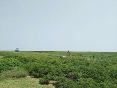 -北海金海湾红树林生态旅游区