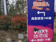 -菊园百果园