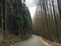 -山王坪喀斯特国家生态公园