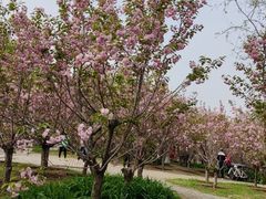 -长白岛森林公园