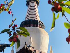 -张掖大佛寺景区