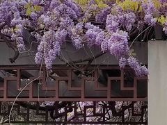 -Peet's Coffee皮爷咖啡(德基店)