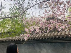 -廊坊市自然公园