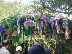 -野象谷景区