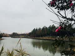 -艾溪湖湿地公园