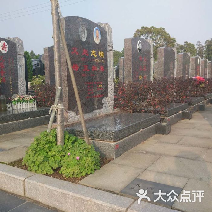 浦东汇龙园墓地图片
