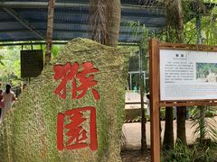 -广东茂名森林公园