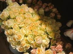 -芸山季·云南山珍菌火锅(人民广场来福士店)