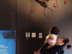 -墨尔本博物馆(Melbourne Museum)