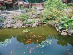 -荔湾湖公园