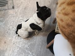 -小时光咖啡馆(北锣鼓巷店)