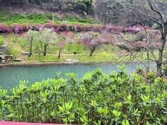 -桃花岭景区