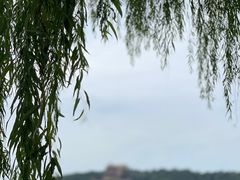 -颐和园