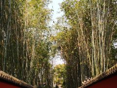 -成都武侯祠博物馆