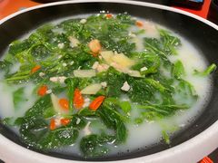 -羽鸽集·乳鸽专门店·地道顺德菜(岭南站店)