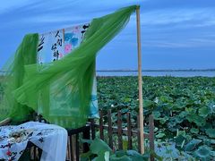 -七的湖·晚芳亭·阳澄湖农家菜·大闸蟹(莲花岛店)