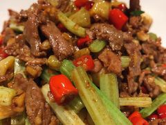小炒黄牛肉-渔芙南(三里屯店)