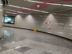 -大龙山(地铁站)