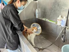 -中农国际动物医院24小时·猫科·骨科·急重症中心